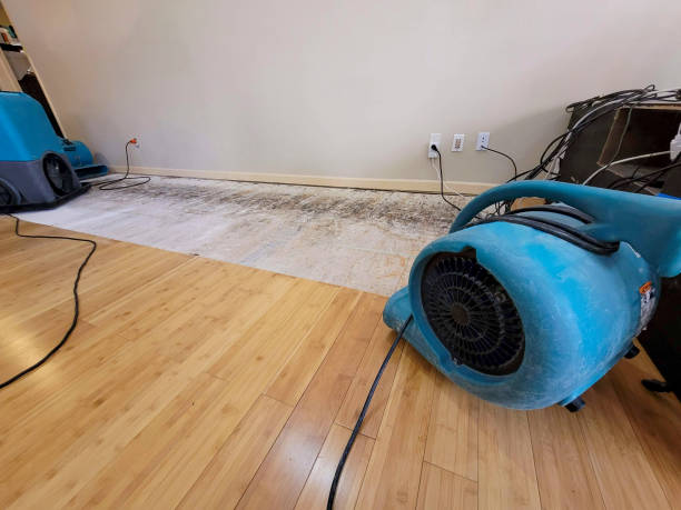 Professional Water Removal technician working in Crane Hill, AL